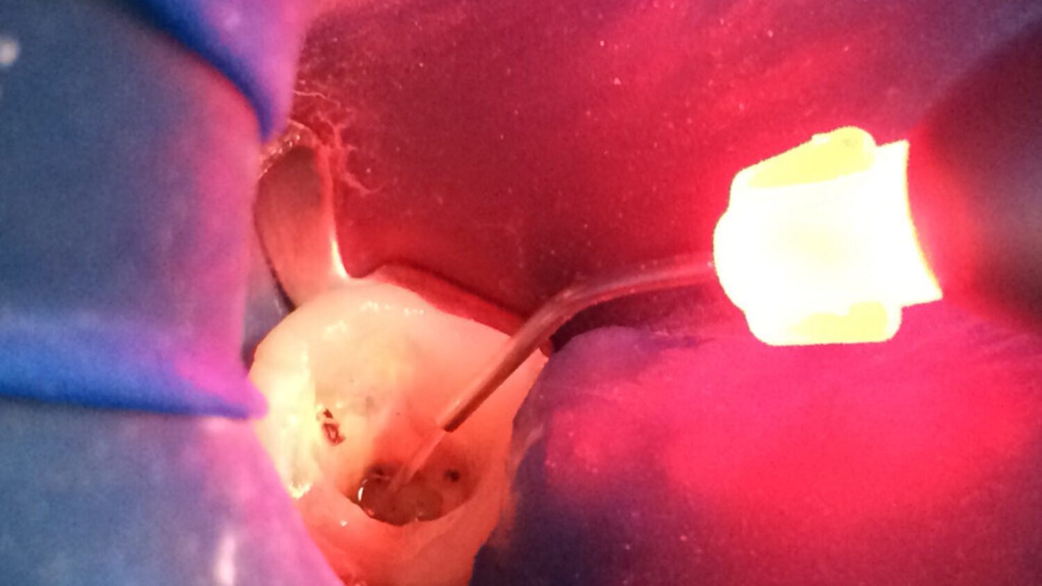 44e39521f11b1499592969ad777801fa